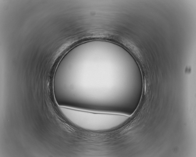 X0000089670483200706210756