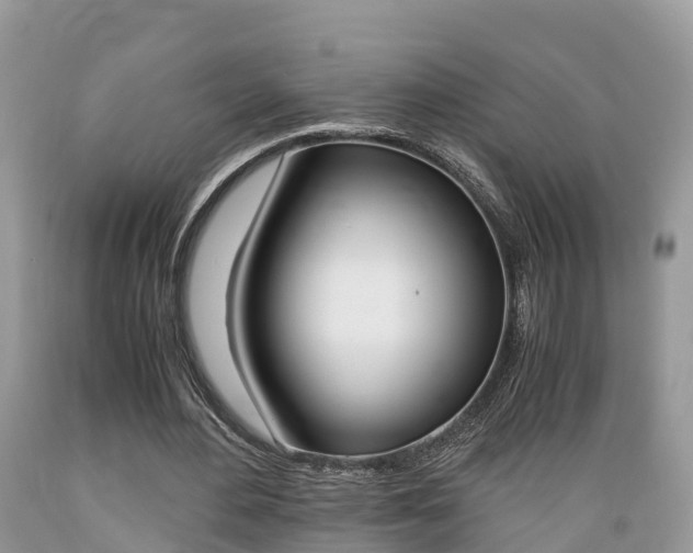 X0000089670484200706210756