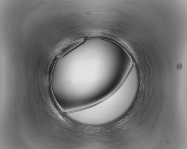 X0000089670485200706210756