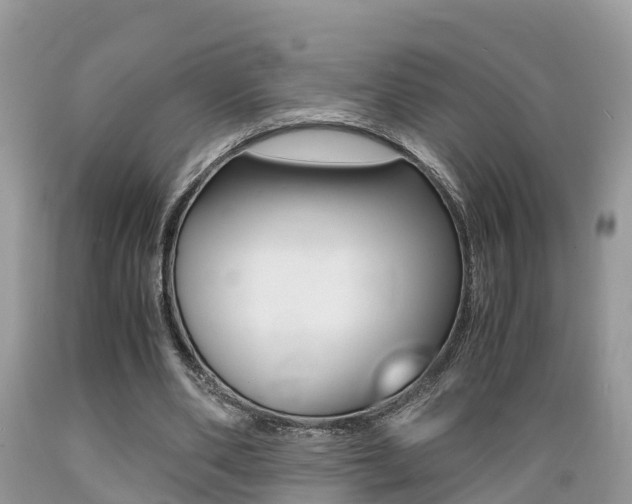 X0000089670486200706210756