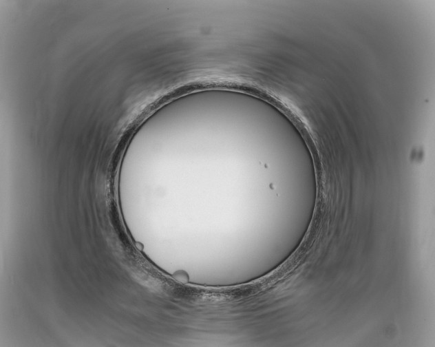 X0000089670487200706210756