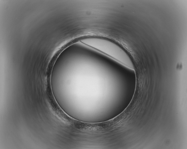 X0000089670488200706210756