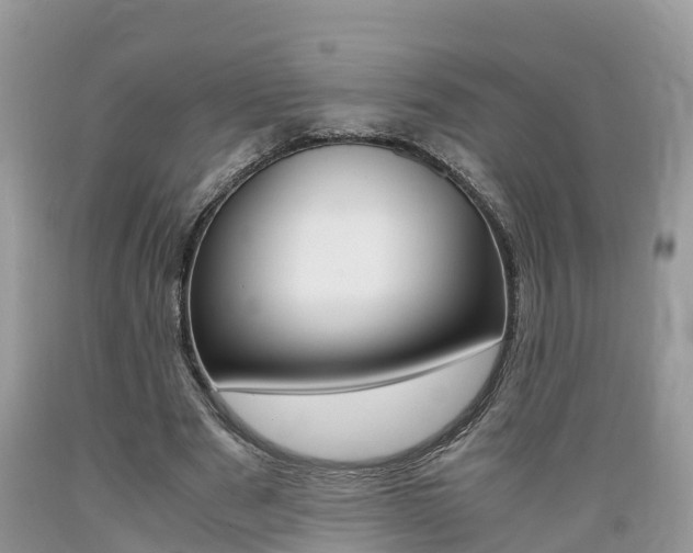 X0000089670489200706210756