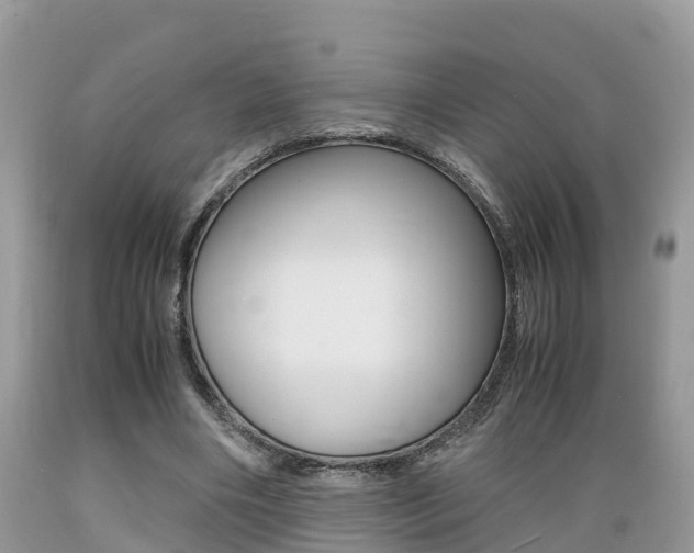 X0000089670490200706210756