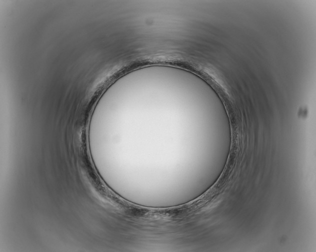 X0000089670491200706210756