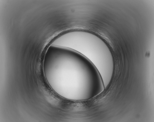 X0000089670492200706210756