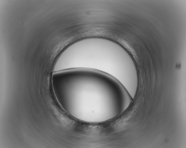 X0000089670493200706210756