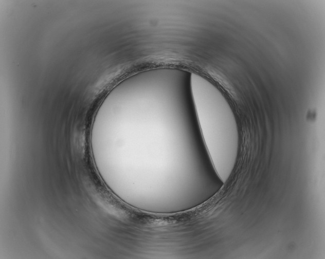 X0000089670494200706210756