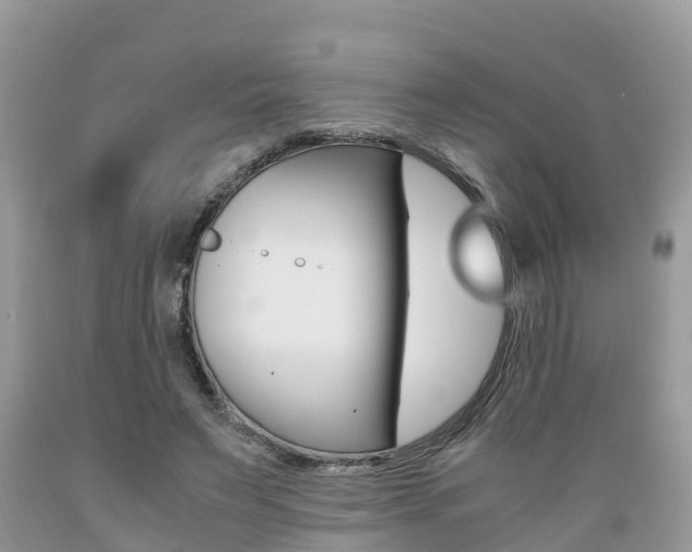 X0000089670495200706210756