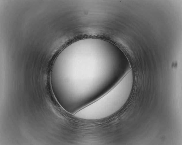 X0000089670496200706210756