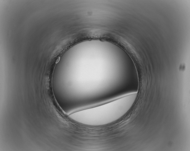 X0000089670497200706210756