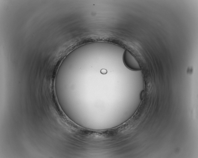 X0000089670498200706210756