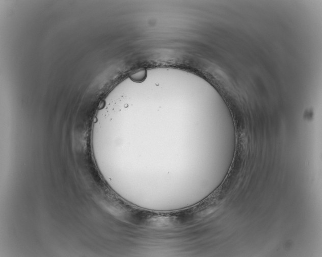 X0000089670499200706210756