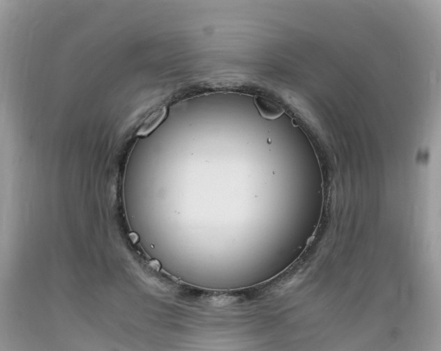 X0000089670501200706210756