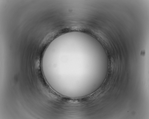 X0000089670502200706210756