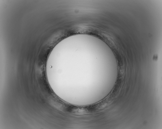X0000089670503200706210756