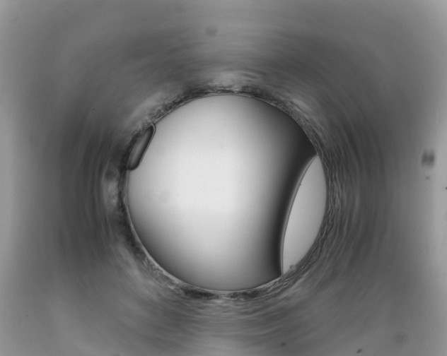 X0000089670504200706210756