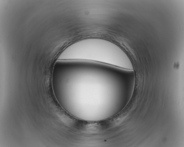 X0000089670505200706210756