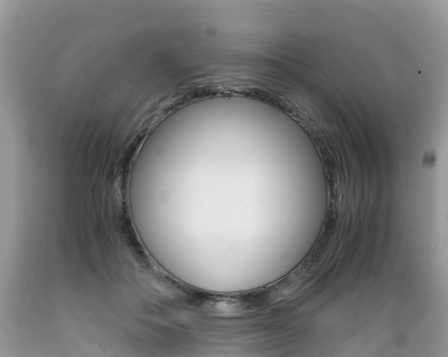 X0000089670506200706210756