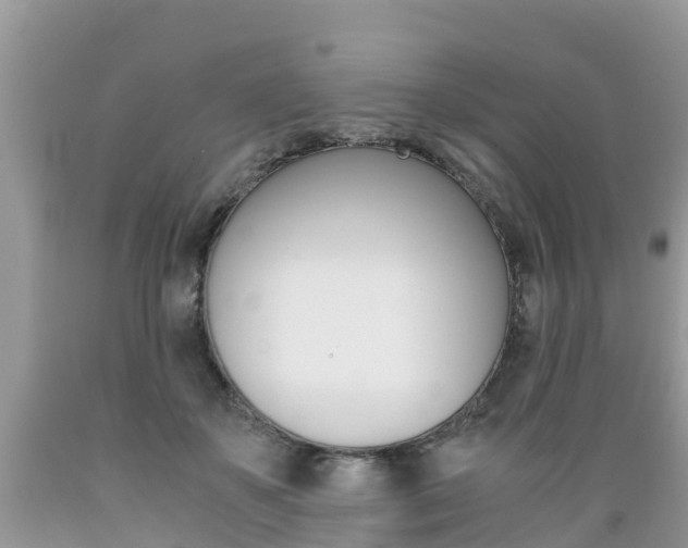 X0000089670507200706210756