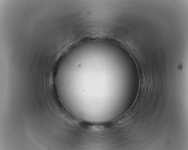 X0000089670508200706210756