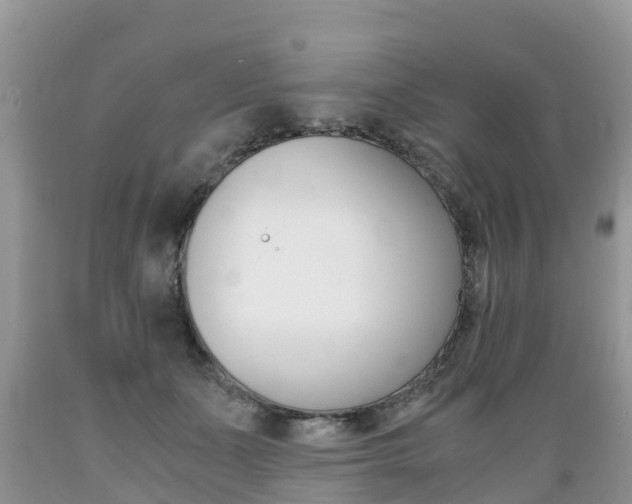 X0000089670511200706210756