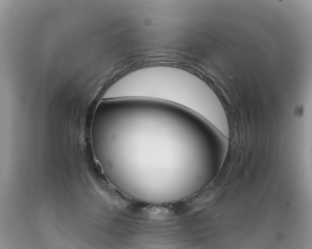 X0000089670512200706210756