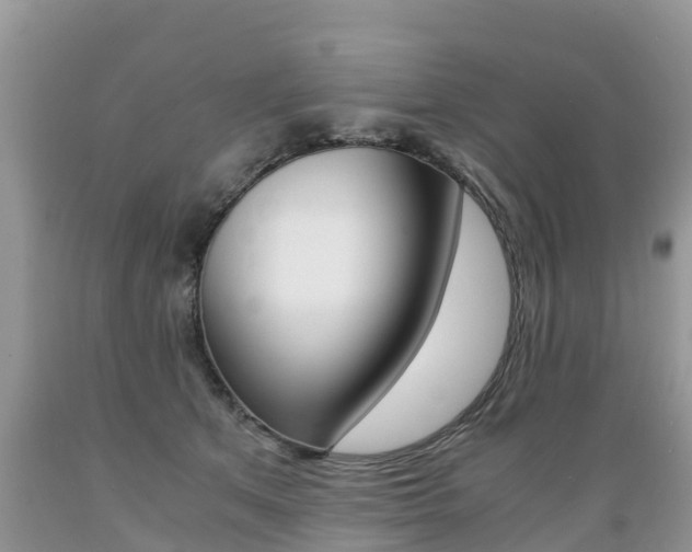 X0000089670513200706210756