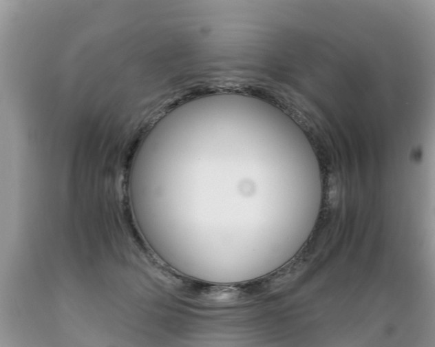 X0000089670514200706210756