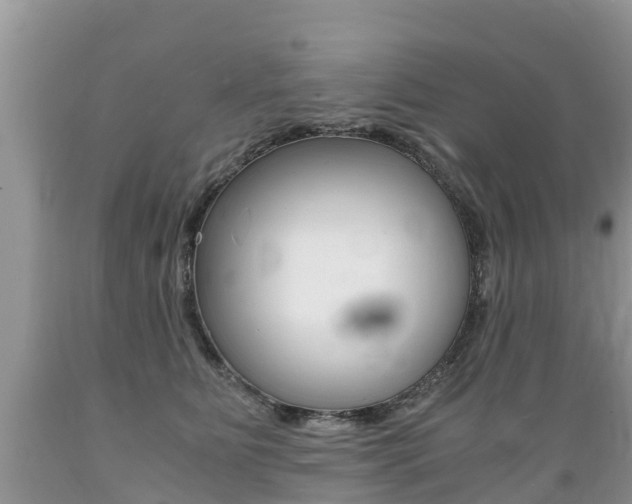 X0000089670515200706210756