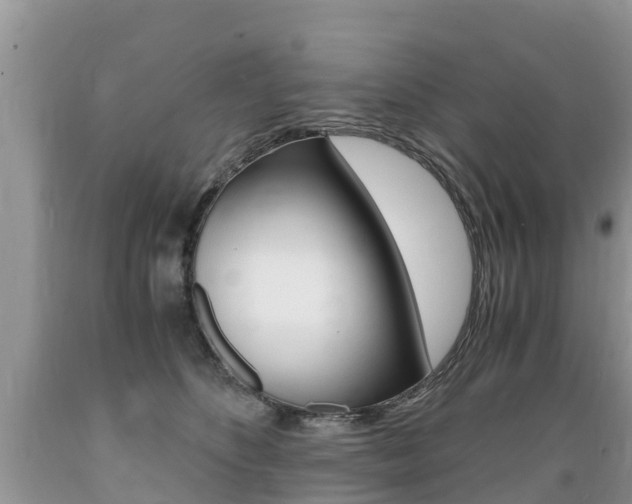 X0000089670516200706210756