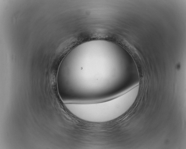 X0000089670517200706210756