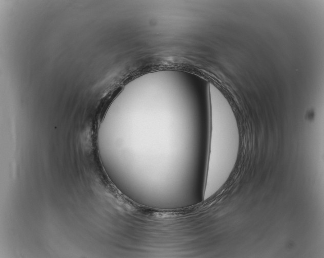 X0000089670520200706210756