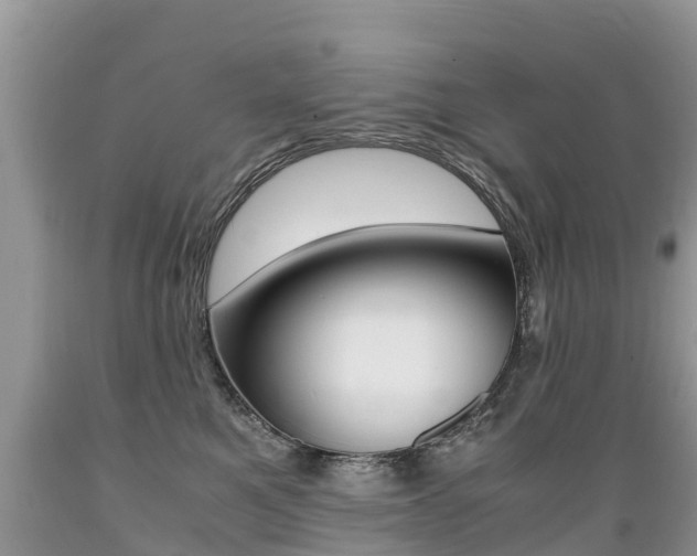 X0000089670521200706210756
