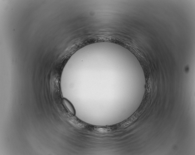 X0000089670522200706210756