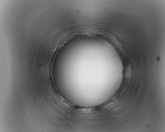 X0000089670524200706210756