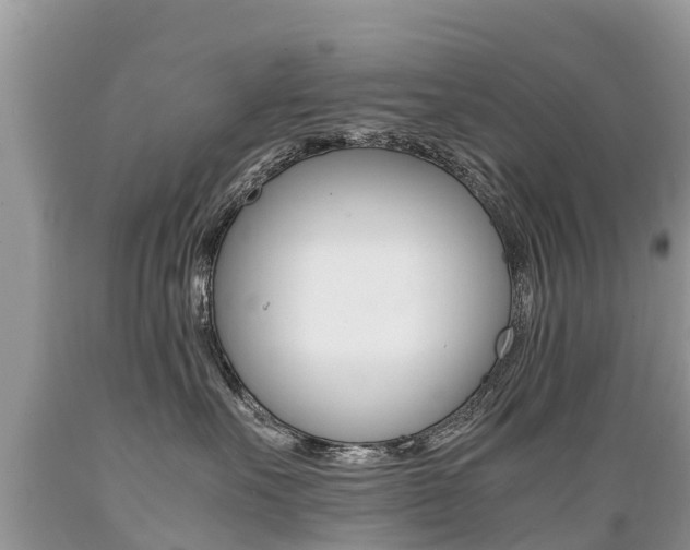 X0000089670527200706210756