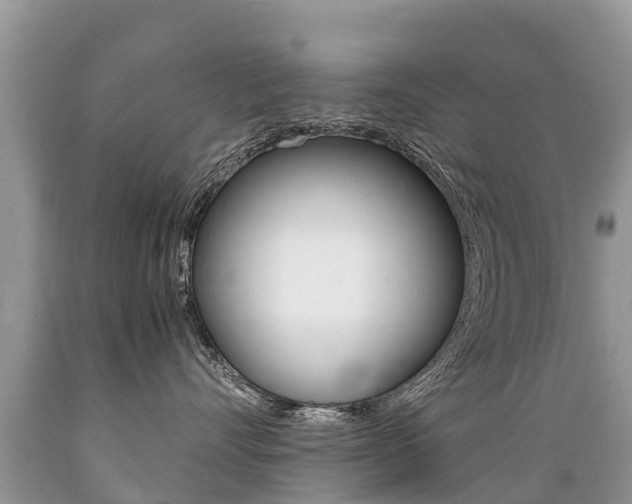 X0000089670528200706210756