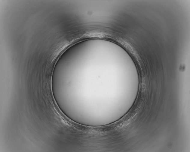 X0000089670529200706210755