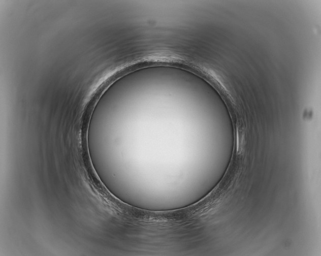 X0000089670531200706210755