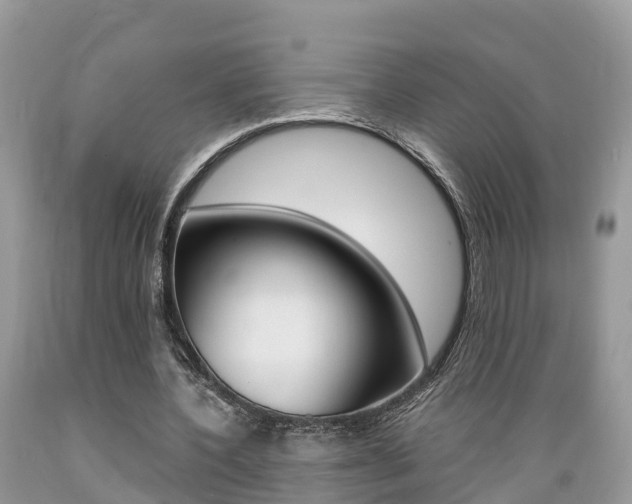 X0000089670532200706210755