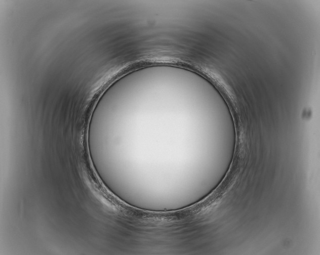 X0000089670533200706210755