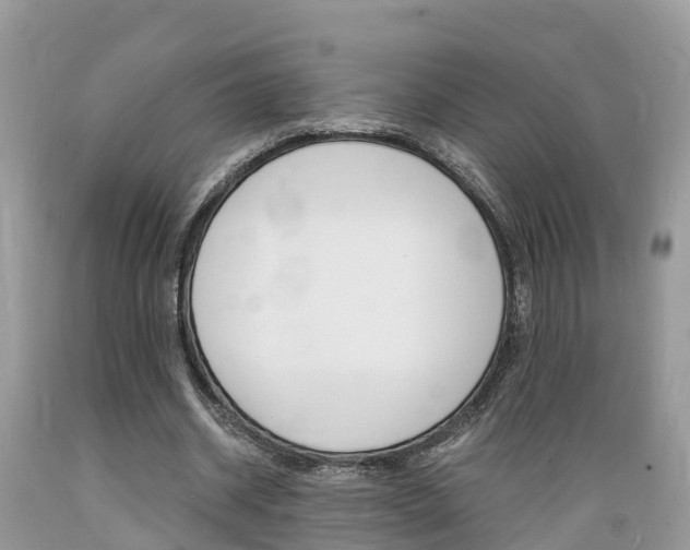 X0000089670534200706210755