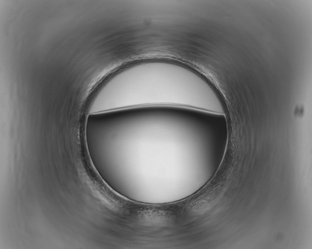 X0000089670535200706210755
