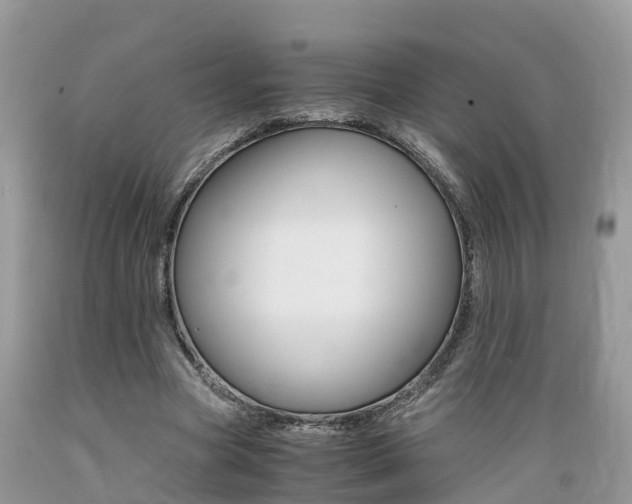 X0000089670537200706210755