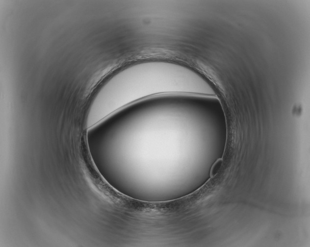 X0000089670538200706210755