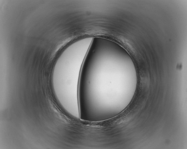 X0000089670539200706210755
