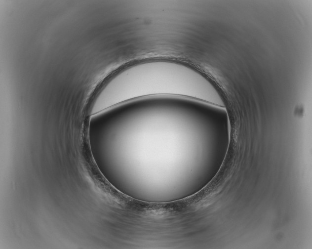 X0000089670540200706210755