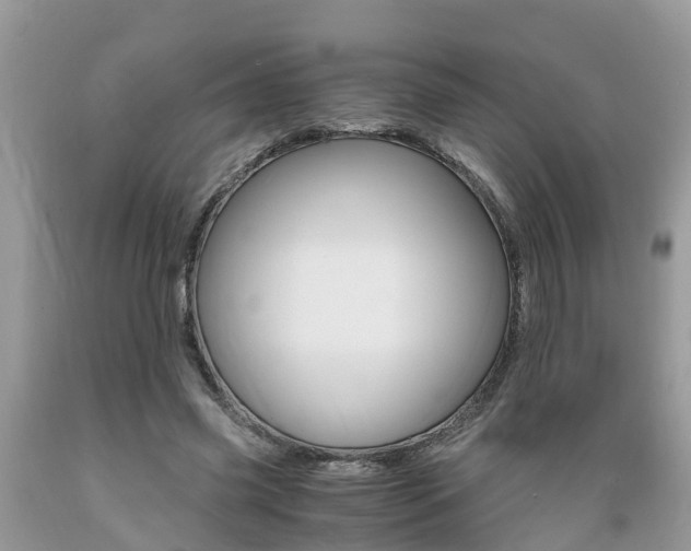 X0000089670541200706210755