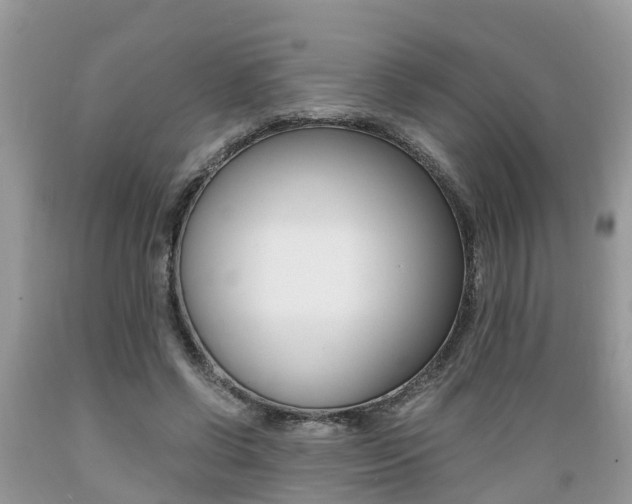 X0000089670542200706210755